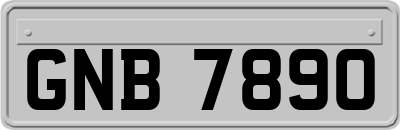 GNB7890