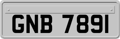GNB7891