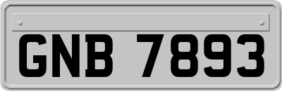 GNB7893
