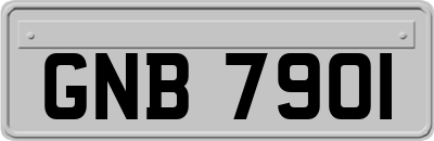 GNB7901
