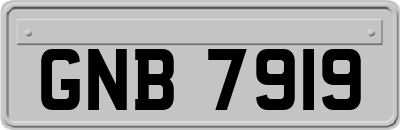 GNB7919