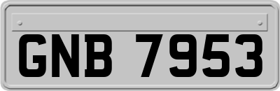 GNB7953