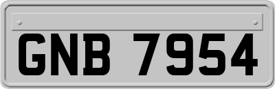 GNB7954