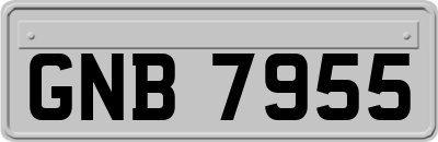 GNB7955