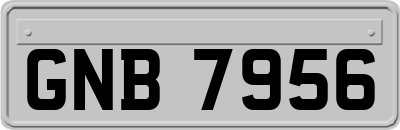 GNB7956