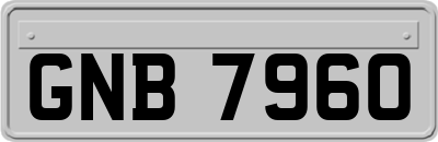 GNB7960