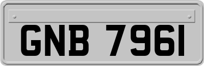 GNB7961