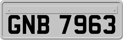 GNB7963