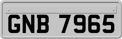 GNB7965