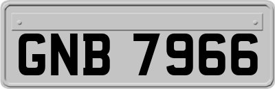 GNB7966