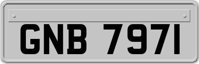 GNB7971