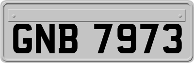 GNB7973