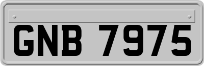 GNB7975