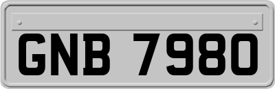 GNB7980