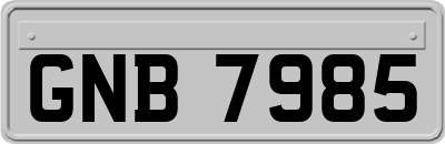 GNB7985