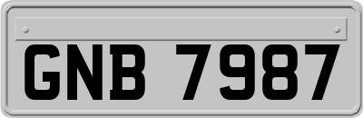 GNB7987