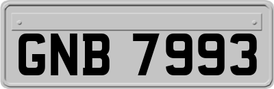GNB7993