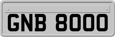 GNB8000