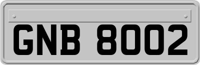 GNB8002