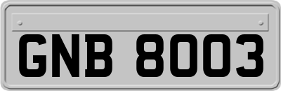 GNB8003