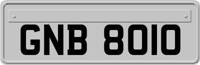 GNB8010