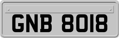 GNB8018