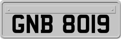 GNB8019