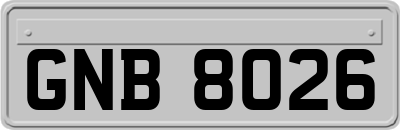 GNB8026