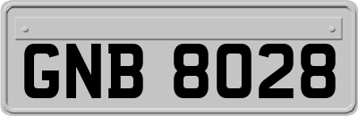 GNB8028