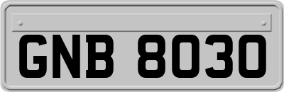 GNB8030