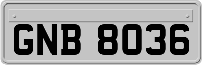 GNB8036