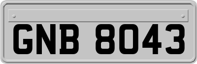 GNB8043
