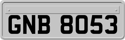 GNB8053