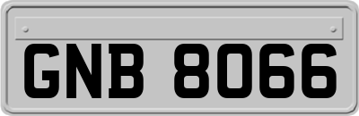 GNB8066