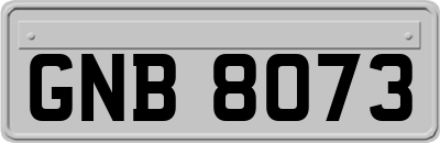GNB8073