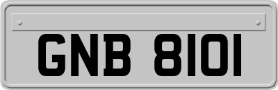 GNB8101