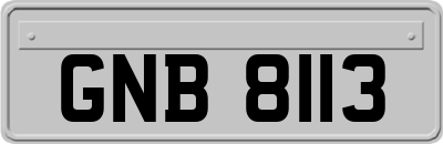 GNB8113