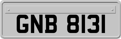 GNB8131