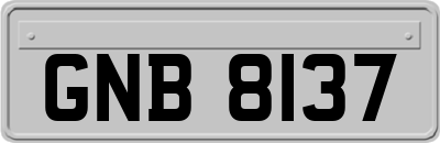 GNB8137