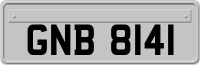 GNB8141