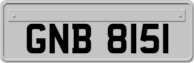 GNB8151