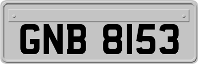 GNB8153