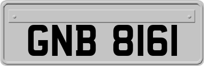 GNB8161