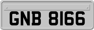 GNB8166