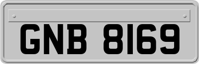 GNB8169