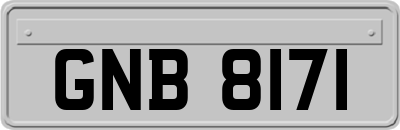 GNB8171