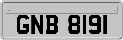 GNB8191