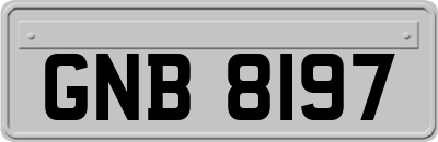 GNB8197