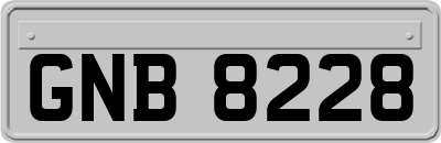 GNB8228