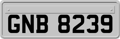 GNB8239